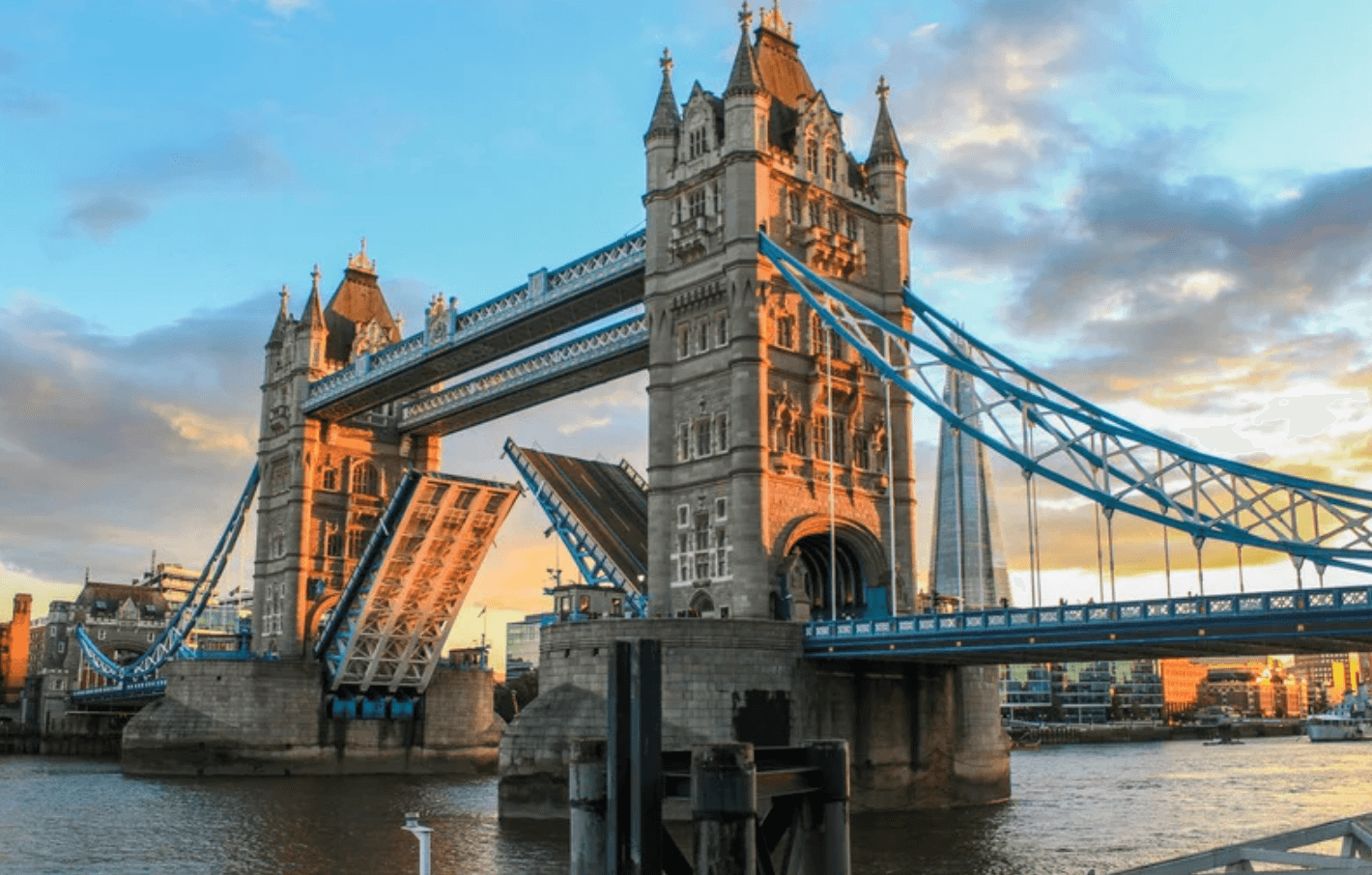 Dog on Tower Bridge